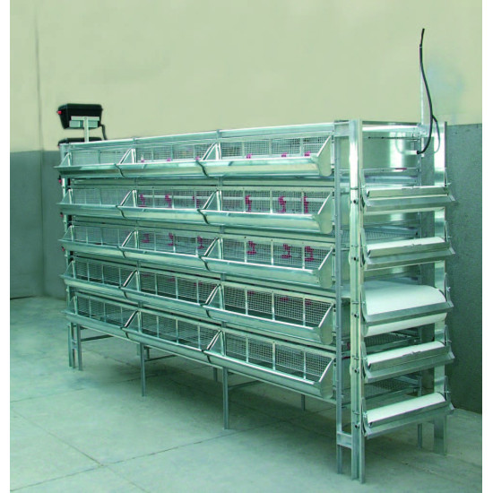 Batteria per ingrasso quaglie