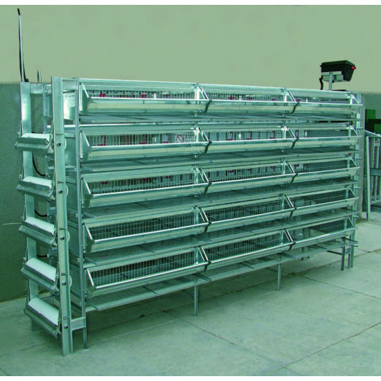 Batteria ovaiola per quaglie