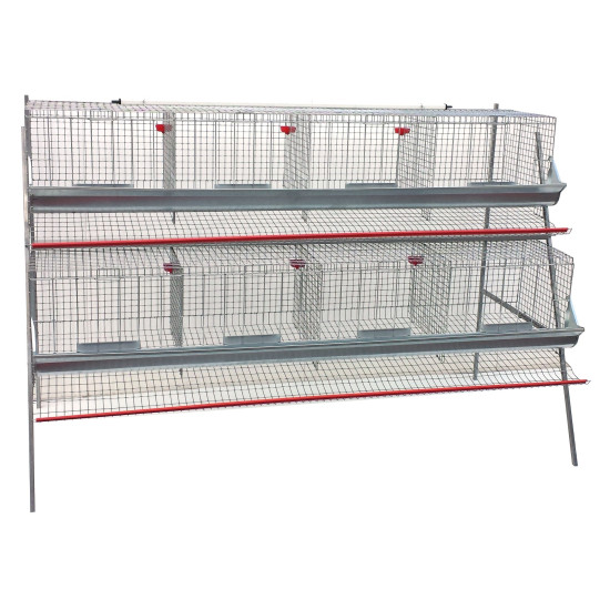 Gabbia galline ovaiole per 32-40 capi