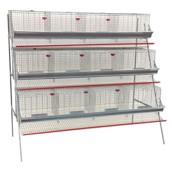 Gabbia galline ovaiole per 48-60 capi