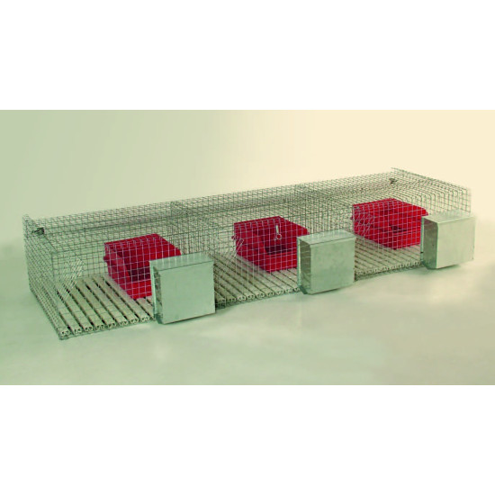 Gabbia a 3 box per fattrici con nidi interni